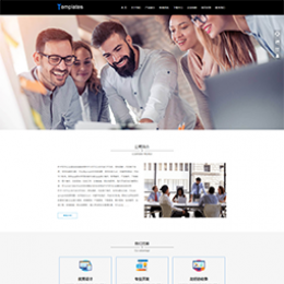 通用企业商务管理咨询网站模板
